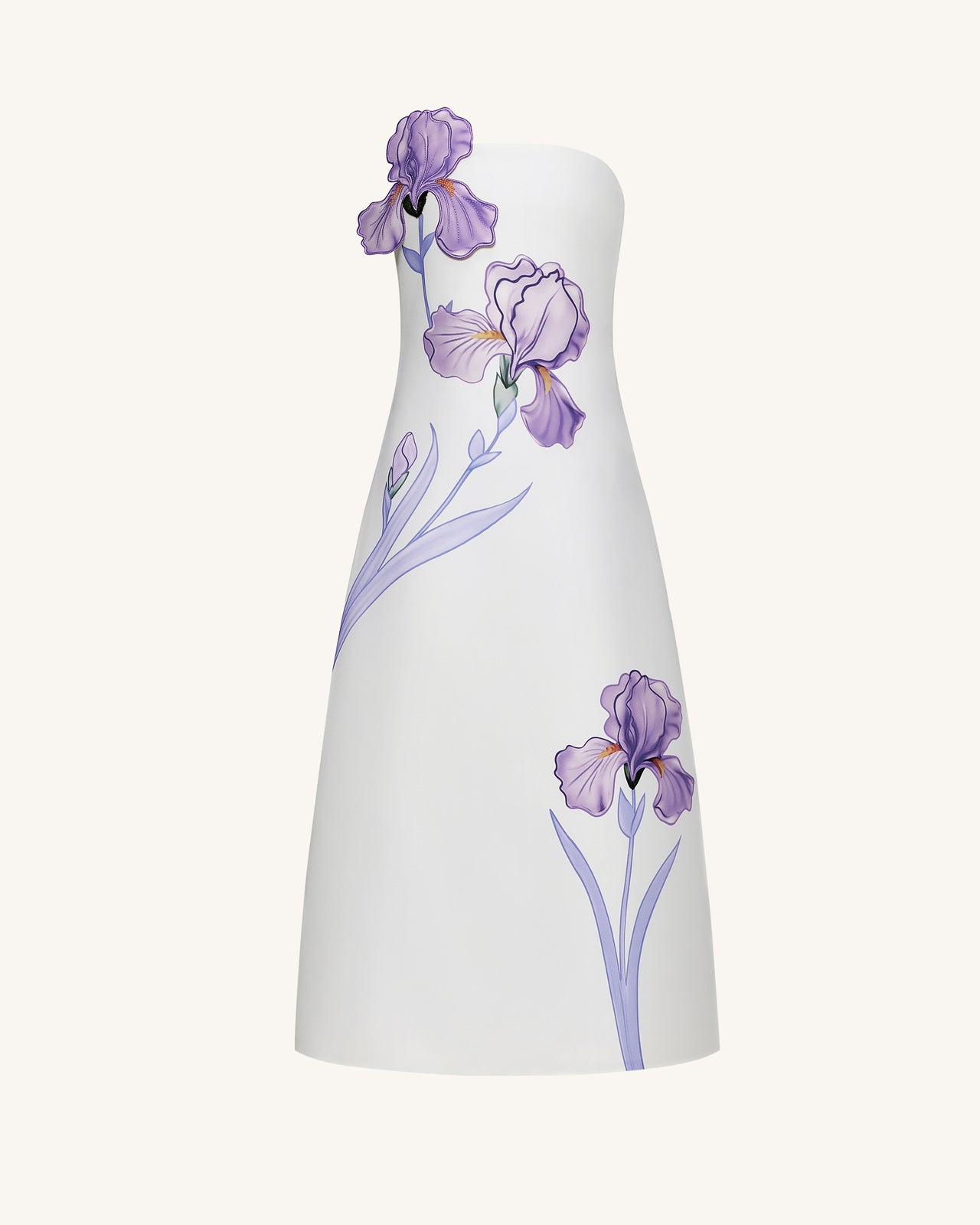 Iris Floral Print Strapless A-Line Maxi Dress - White