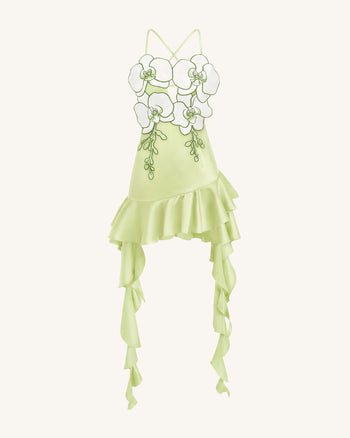 Orchid Embroidered Ruffle Hem Mini Dress - Light Green