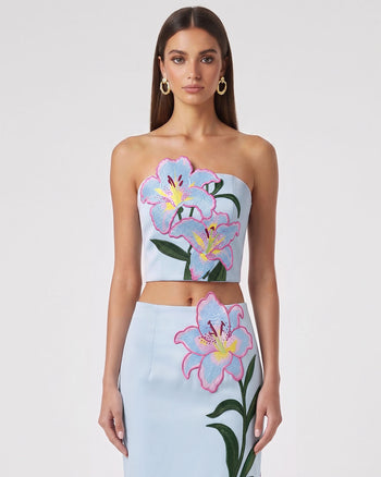 Lily Floral Embroidered Strapless Corset Top - Light Blue