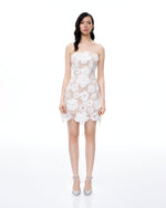 Leander Embroidered Lace Mini Dress - White